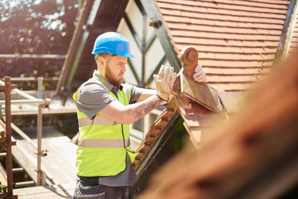 Best Best Roofing Contractors  in Nicholasville, KY